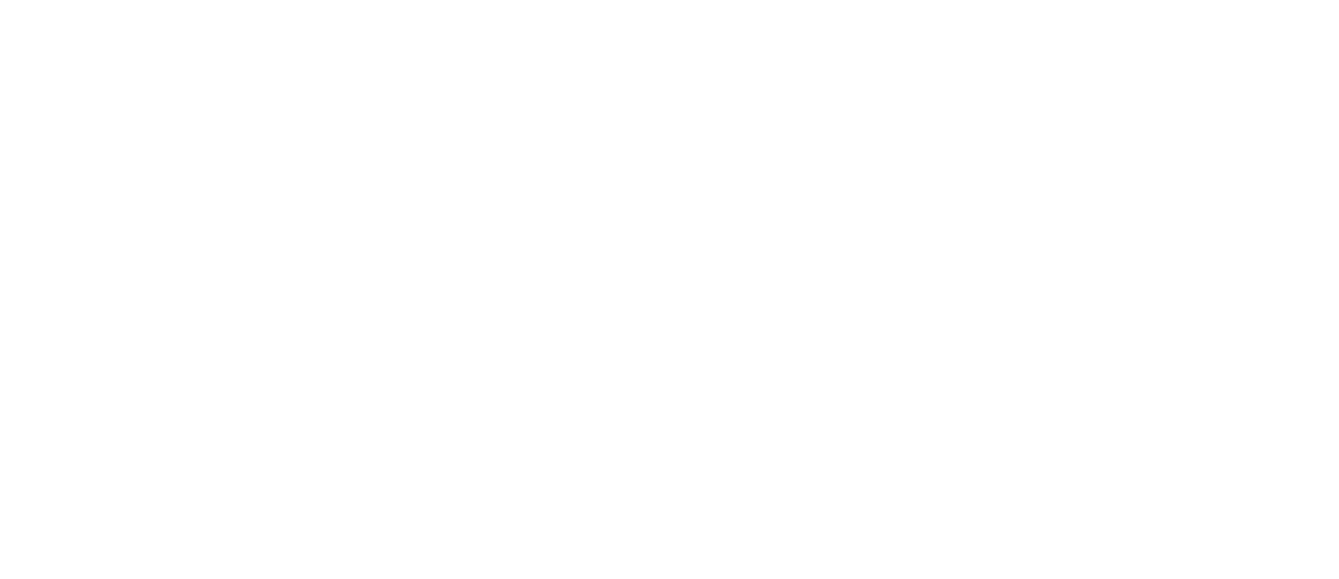 Lion Gold Coast Removals logo