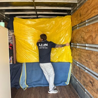 Tetris packing Lion Gold Coast Removals